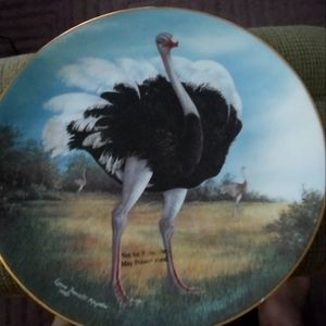 African Black plate #0399 signed by Lynne Facetty Mayhew